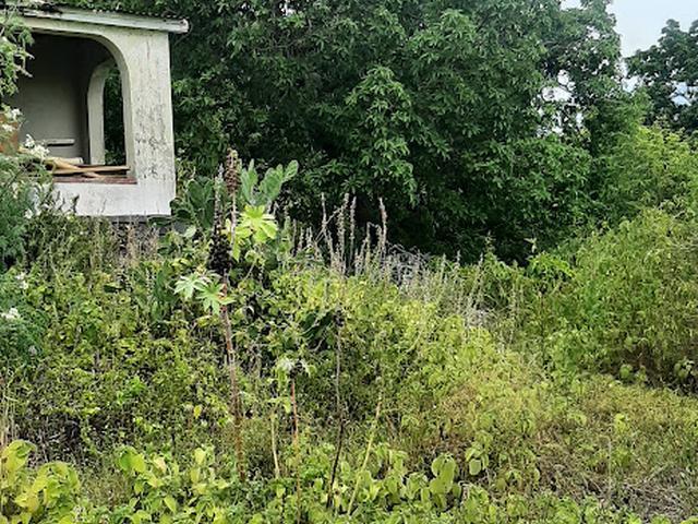Thirteenth image of 1 Jack's Lodge in Discovery Bay, St. Ann, Jamaica - property is For Sale
