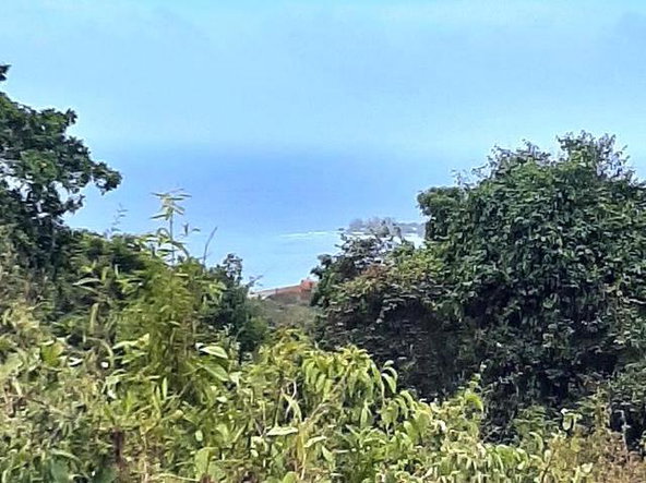 Third image of 6 Jack's Lodge in Discovery Bay, St. Ann, Jamaica - property is For Sale