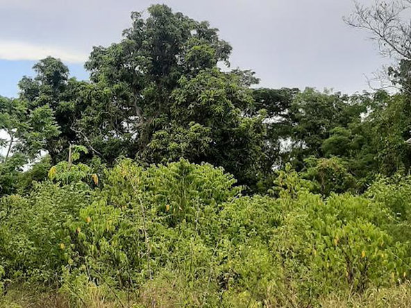 Ninth image of 6 Jack's Lodge in Discovery Bay, St. Ann, Jamaica - property is For Sale