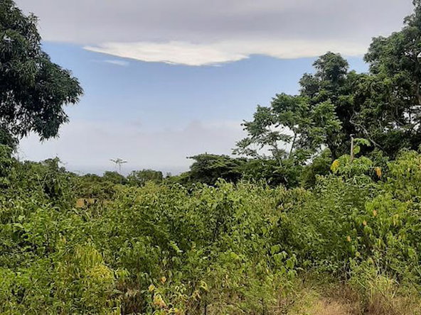 Tenth image of 6 Jack's Lodge in Discovery Bay, St. Ann, Jamaica - property is For Sale
