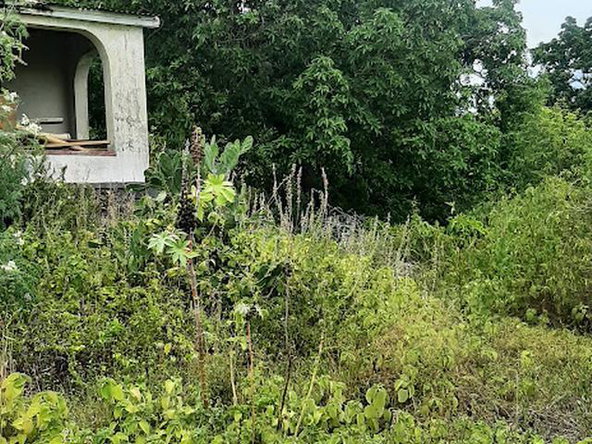 Thirteenth image of 6 Jack's Lodge in Discovery Bay, St. Ann, Jamaica - property is For Sale