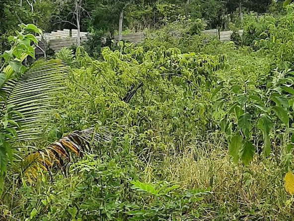 Fifteenth image of 6 Jack's Lodge in Discovery Bay, St. Ann, Jamaica - property is For Sale