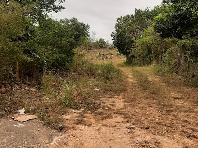 Eighteenth image of 6 Jack's Lodge in Discovery Bay, St. Ann, Jamaica - property is For Sale