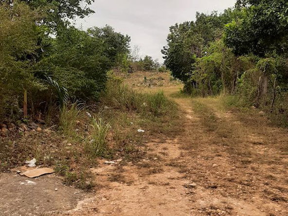 Eighteenth image of 6 Jack's Lodge in Discovery Bay, St. Ann, Jamaica - property is For Sale