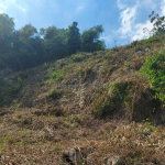 First image of Lot 12 Mountain Slope Kingston 8 in Kingston 8, St. Andrew, Jamaica - property is For Sale