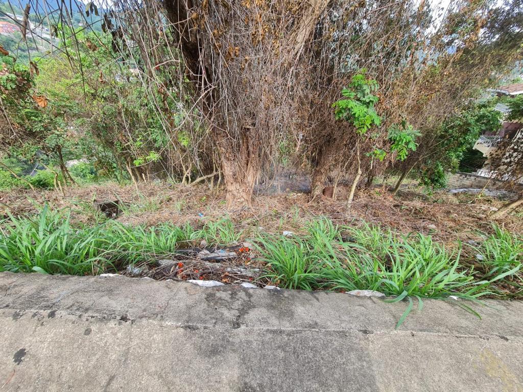 Fourth image of Lot 12 Mountain Slope Kingston 8 in Kingston 8, St. Andrew, Jamaica - property is For Sale