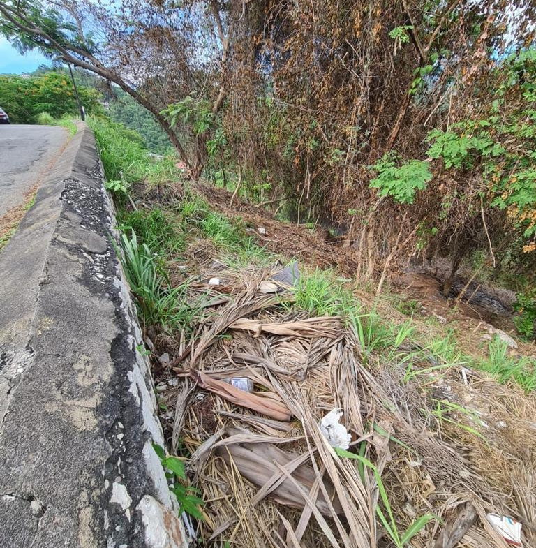 Sixth image of Lot 12 Mountain Slope Kingston 8 in Kingston 8, St. Andrew, Jamaica - property is For Sale