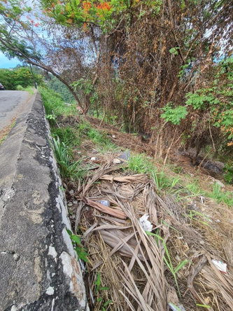 Sixth image of Lot 12 Mountain Slope Kingston 8 in Kingston 8, St. Andrew, Jamaica - property is For Sale