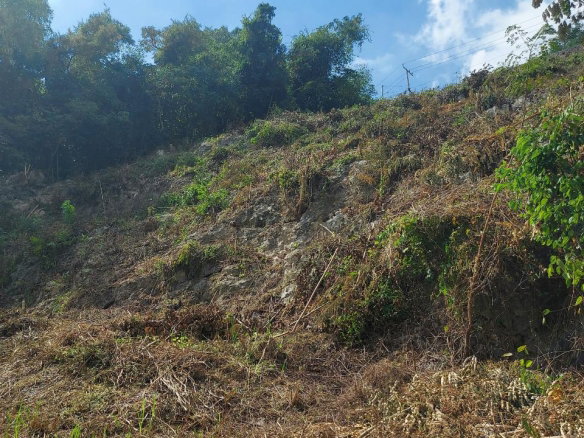 First image of Lot 12 Mountain Slope Kingston 8 in Kingston 8, St. Andrew, Jamaica - property is For Sale