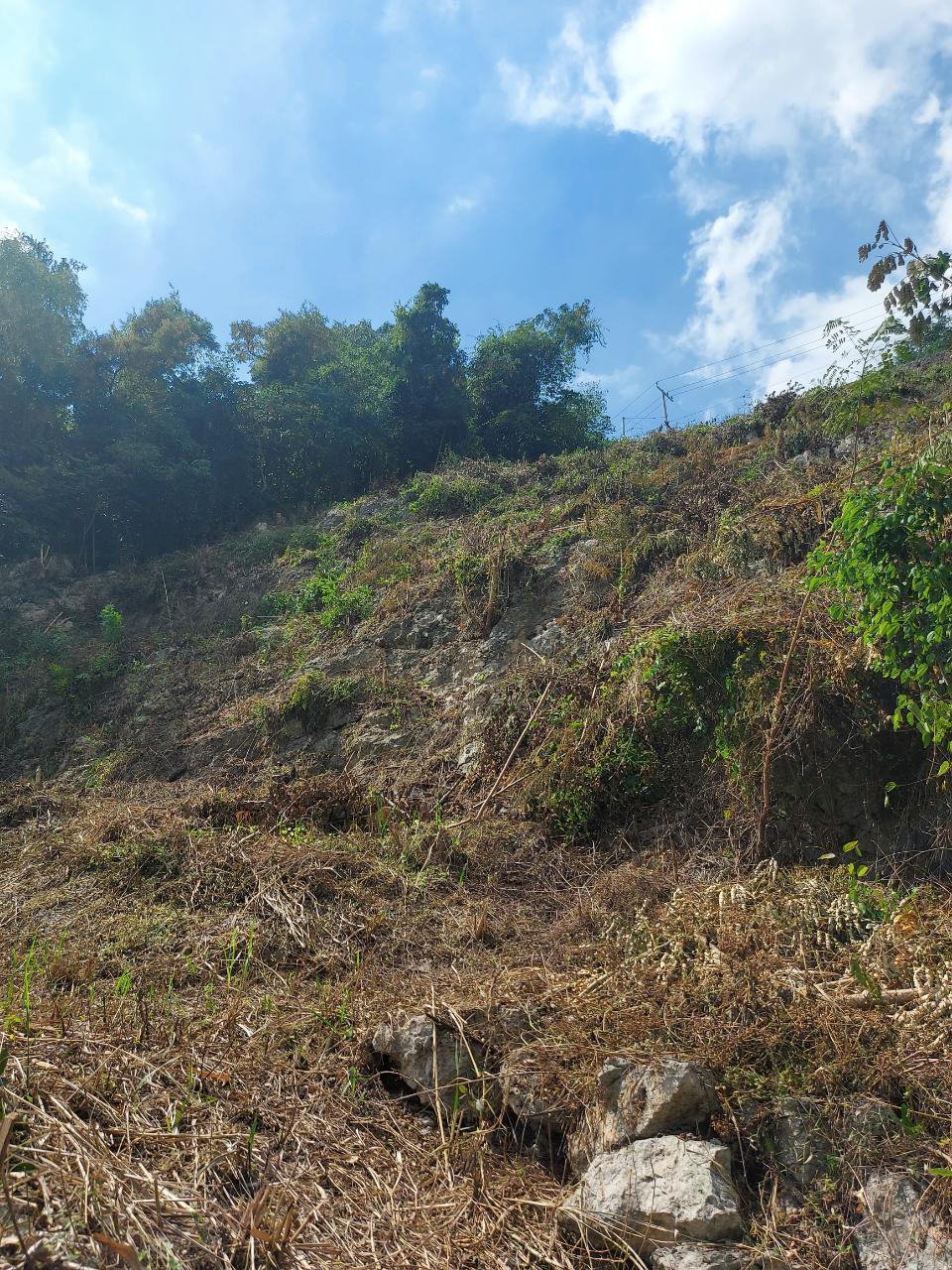 Stunning-Residential-Lot-for-Sale-in-Kingston-8-Jamaica First image of Lot 12 Mountain Slope Kingston 8 in Kingston 8, St. Andrew, Jamaica - property is For Sale