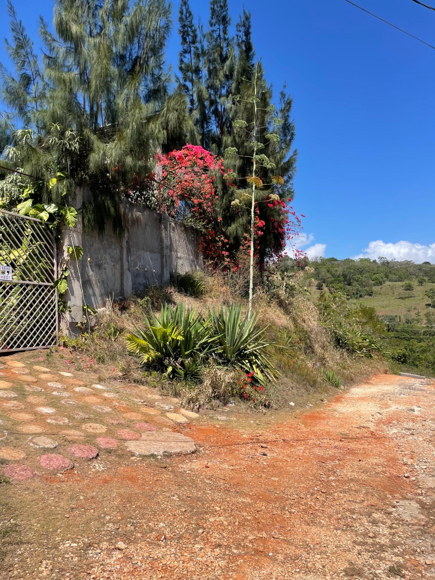 Eighth image of Ivan Brown Blvd., Malvern in Malvern, St. Elizabeth, Jamaica - property is For Sale