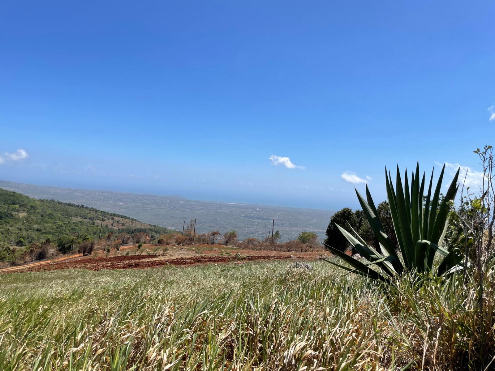Tenth image of Ivan Brown Blvd., Malvern in Malvern, St. Elizabeth, Jamaica - property is For Sale