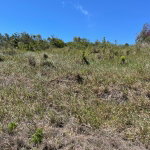 First image of Ivan Brown Blvd., Malvern in Malvern, St. Elizabeth, Jamaica - property is For Sale
