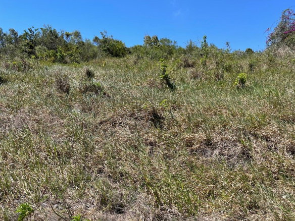 First image of Ivan Brown Blvd., Malvern in Malvern, St. Elizabeth, Jamaica - property is For Sale