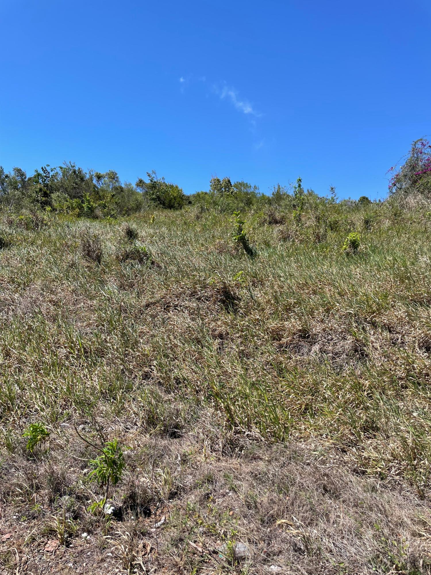 First image of Ivan Brown Blvd., Malvern in Malvern, St. Elizabeth, Jamaica - property is For Sale