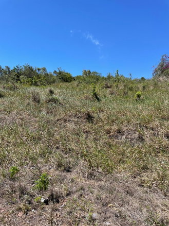 First image of Ivan Brown Blvd., Malvern in Malvern, St. Elizabeth, Jamaica - property is For Sale
