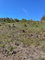 First image of Ivan Brown Blvd., Malvern in Malvern, St. Elizabeth, Jamaica - property is For Sale