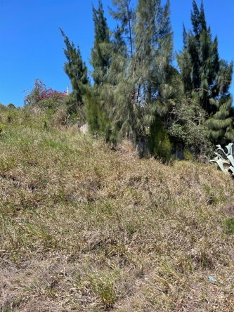 Second image of Ivan Brown Blvd., Malvern in Malvern, St. Elizabeth, Jamaica - property is For Sale