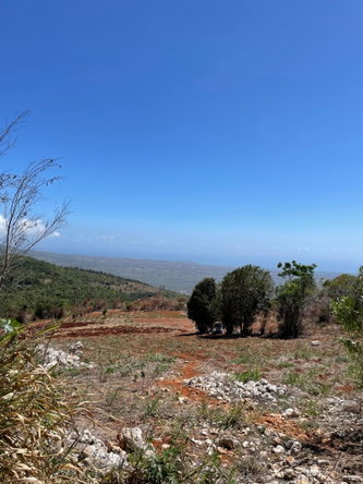 Fourth image of Ivan Brown Blvd., Malvern in Malvern, St. Elizabeth, Jamaica - property is For Sale
