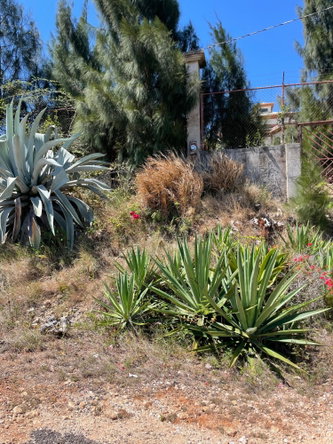 Sixth image of Ivan Brown Blvd., Malvern in Malvern, St. Elizabeth, Jamaica - property is For Sale