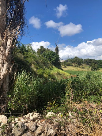 Second image of Lot 34 Part of Braemar Malvern, in Malvern, St. Elizabeth, Jamaica - property is For Sale