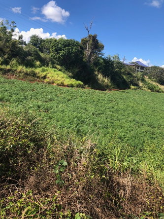Fourth image of Lot 34 Part of Braemar Malvern, in Malvern, St. Elizabeth, Jamaica - property is For Sale