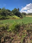 First image of Lot 34 Part of Braemar Malvern, in Malvern, St. Elizabeth, Jamaica - property is For Sale