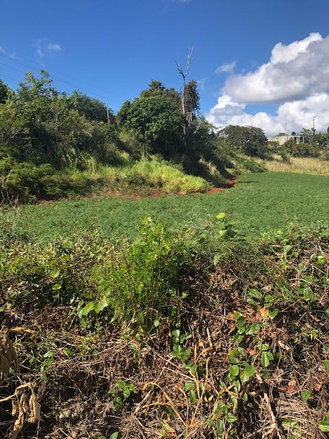 First image of Lot 34 Part of Braemar Malvern, in Malvern, St. Elizabeth, Jamaica - property is For Sale