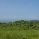 First image of Lot 381 Minard Heights , st Ann in Browns Town, St. Ann, Jamaica - property is For Sale
