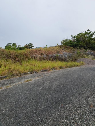 Seventh image of Lot 381 Minard Heights , st Ann in Browns Town, St. Ann, Jamaica - property is For Sale