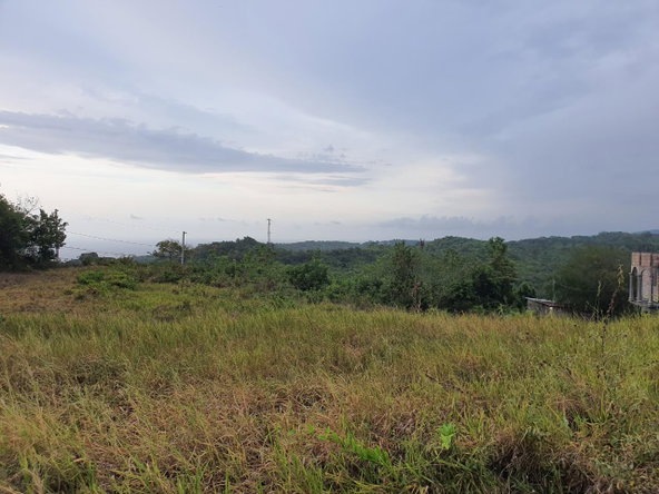 Eighth image of Lot 381 Minard Heights , st Ann in Browns Town, St. Ann, Jamaica - property is For Sale