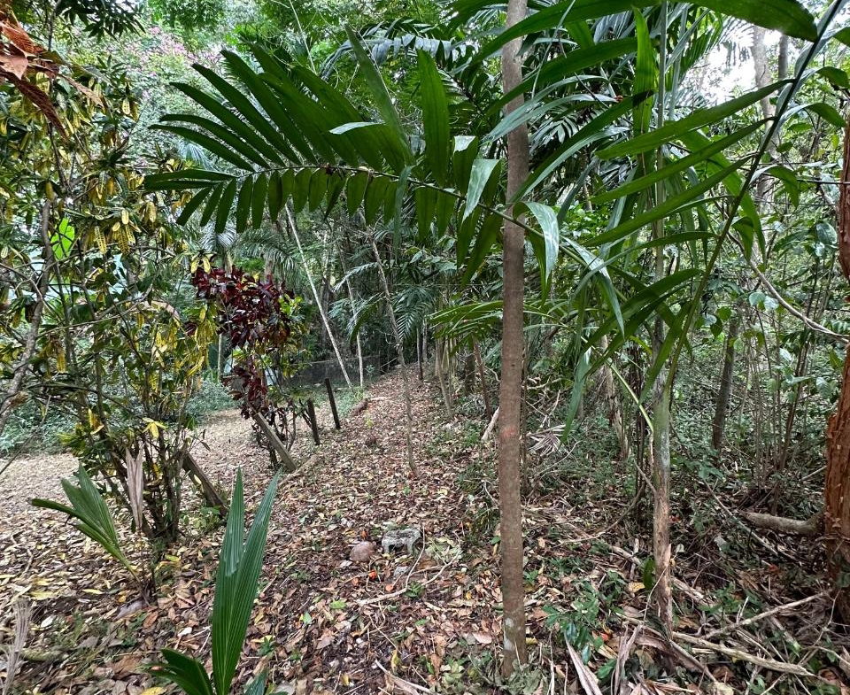 Second image of 15 Spring Garden in Reading, St. James, Jamaica - property is For Sale