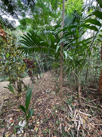 Second image of 15 Spring Garden in Reading, St. James, Jamaica - property is For Sale