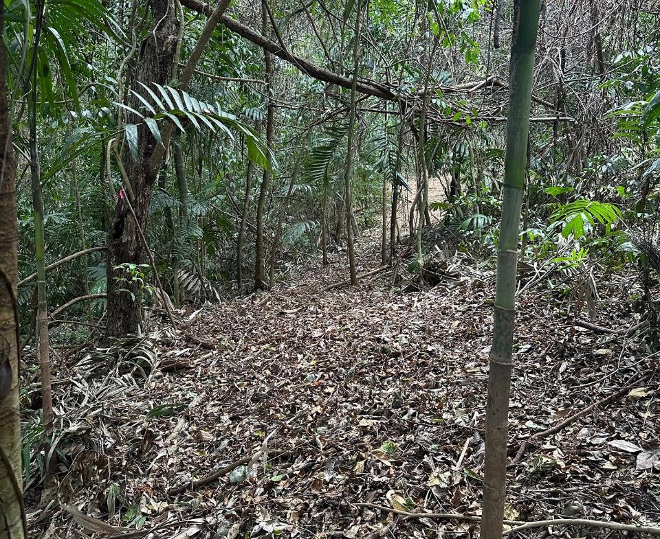 Third image of 15 Spring Garden in Reading, St. James, Jamaica - property is For Sale