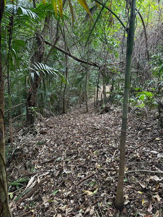 Third image of 15 Spring Garden in Reading, St. James, Jamaica - property is For Sale
