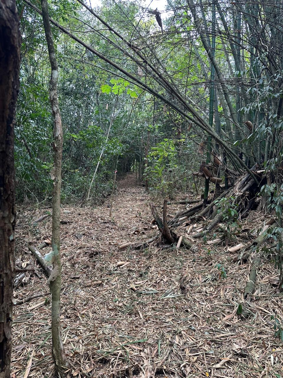 Fourth image of 15 Spring Garden in Reading, St. James, Jamaica - property is For Sale