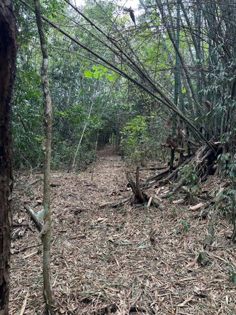 Fourth image of 15 Spring Garden in Reading, St. James, Jamaica - property is For Sale
