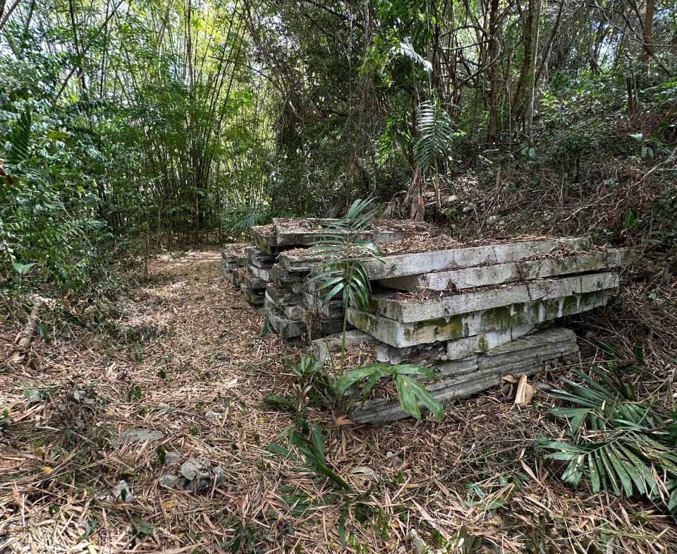 Fifth image of 15 Spring Garden in Reading, St. James, Jamaica - property is For Sale