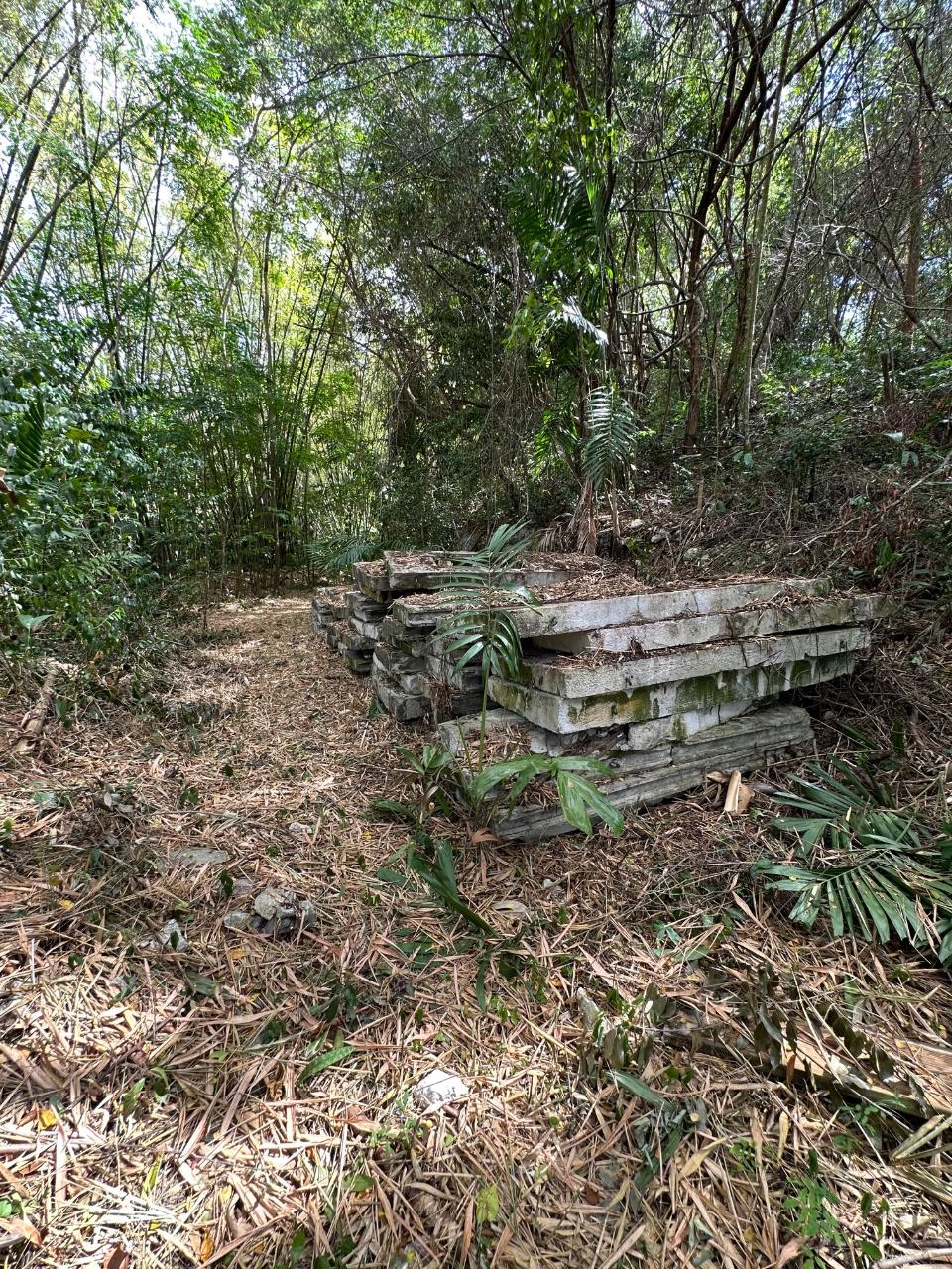 Fifth image of 15 Spring Garden in Reading, St. James, Jamaica - property is For Sale