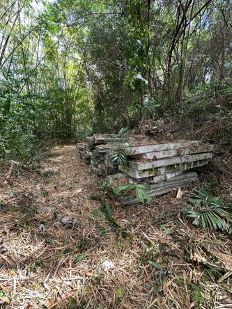 Fifth image of 15 Spring Garden in Reading, St. James, Jamaica - property is For Sale