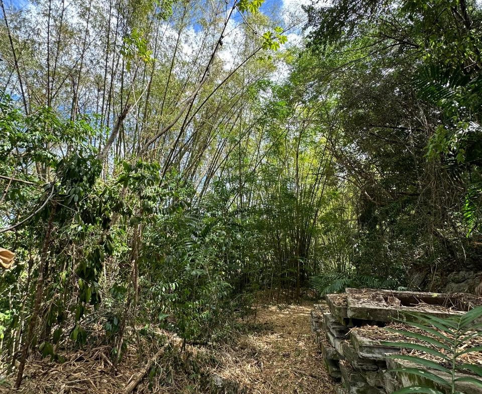 Sixth image of 15 Spring Garden in Reading, St. James, Jamaica - property is For Sale