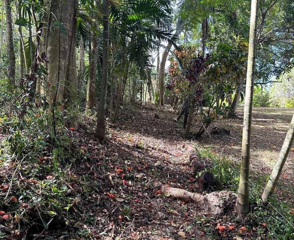 Seventh image of 15 Spring Garden in Reading, St. James, Jamaica - property is For Sale