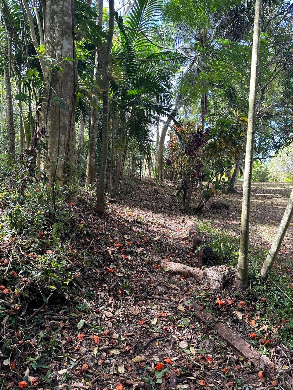Seventh image of 15 Spring Garden in Reading, St. James, Jamaica - property is For Sale