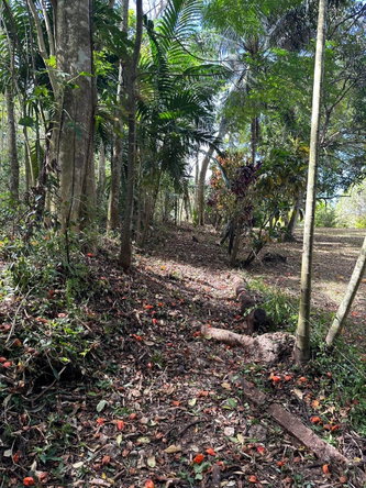 Seventh image of 15 Spring Garden in Reading, St. James, Jamaica - property is For Sale