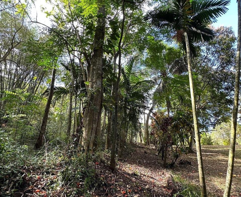 Eighth image of 15 Spring Garden in Reading, St. James, Jamaica - property is For Sale