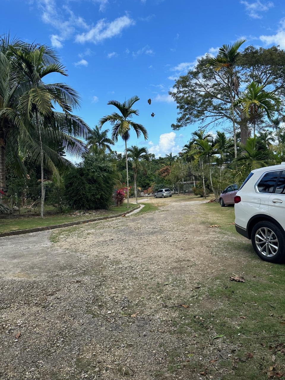 Ninth image of 15 Spring Garden in Reading, St. James, Jamaica - property is For Sale