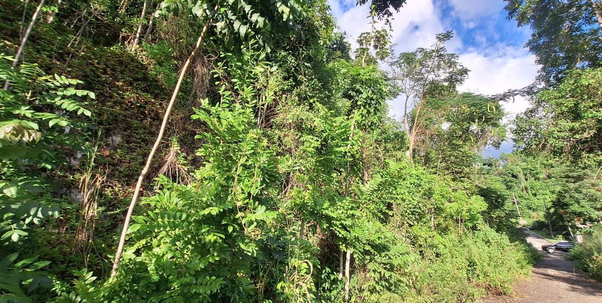 Fifth image of 54 Monegomery Drive in Kingston 8, St. Andrew, Jamaica - property is For Sale