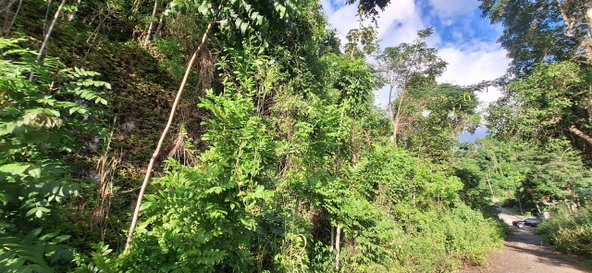 Fifth image of 54 Monegomery Drive in Kingston 8, St. Andrew, Jamaica - property is For Sale