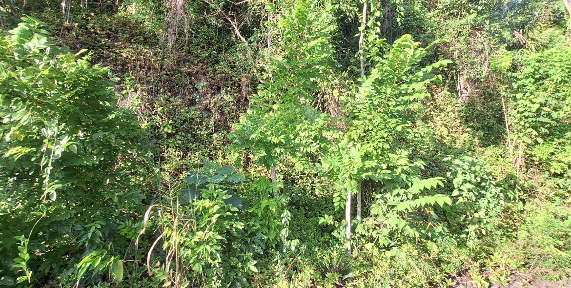 Seventh image of 54 Monegomery Drive in Kingston 8, St. Andrew, Jamaica - property is For Sale