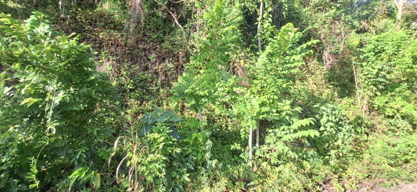 Seventh image of 54 Monegomery Drive in Kingston 8, St. Andrew, Jamaica - property is For Sale